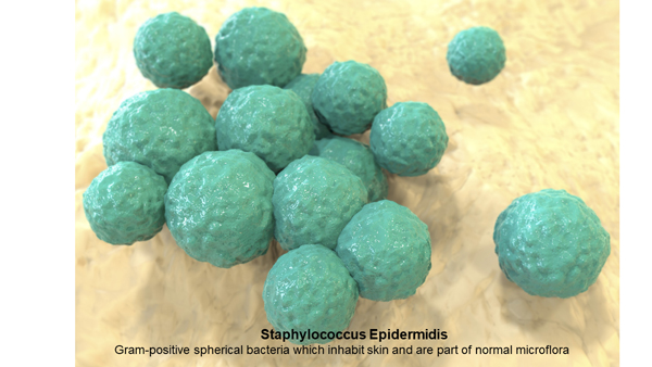 Good Bacteria