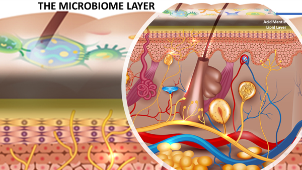 Microbiome